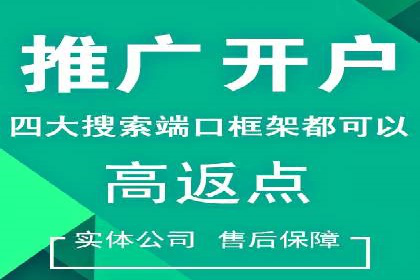 百度竞价推广运营实战技巧与经典案例剖析